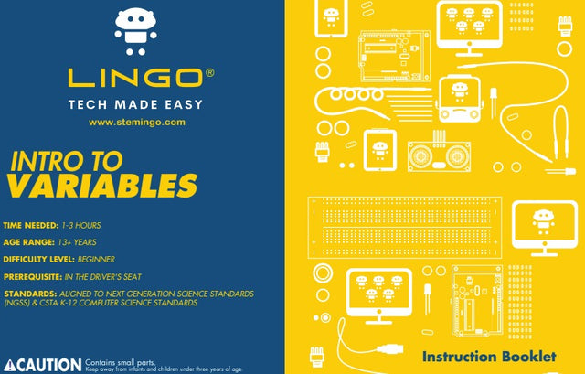 Variables - LINGO 
