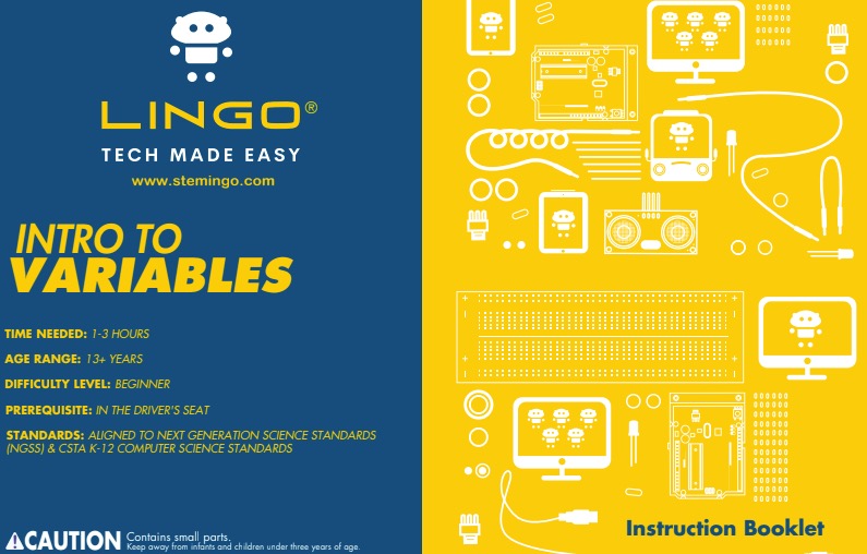 Variables - LINGO 